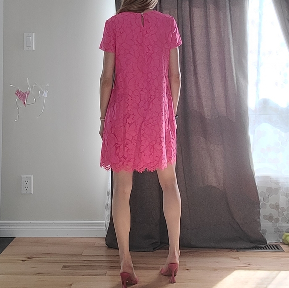 Cece petite floral lace lined dress - Picture 6 of 15